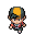 trainer